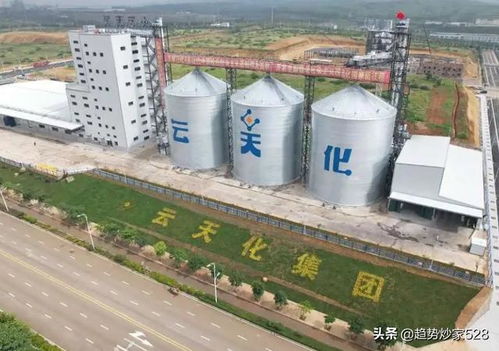 盘点中报业绩即将爆发的5大磷化工龙头 中国磷化技术引领全球