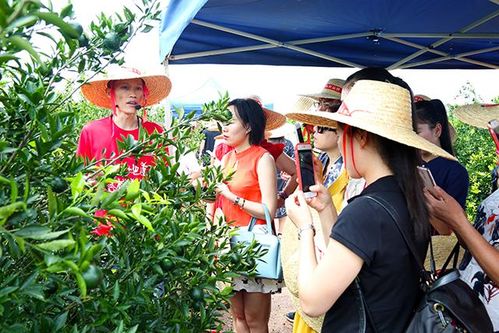 润元昌新厂建成庆典暨2017新柑开采仪式圆满成功